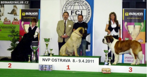 nvp-ostrava.png